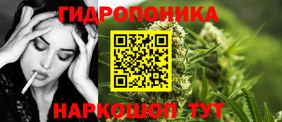 кокс Ярославль