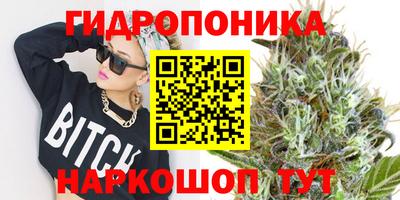 кокс Ярославль