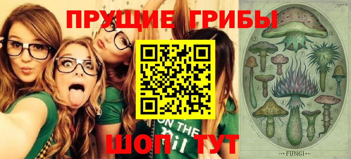 Галлюциногенные грибы Magic Shrooms Вязники