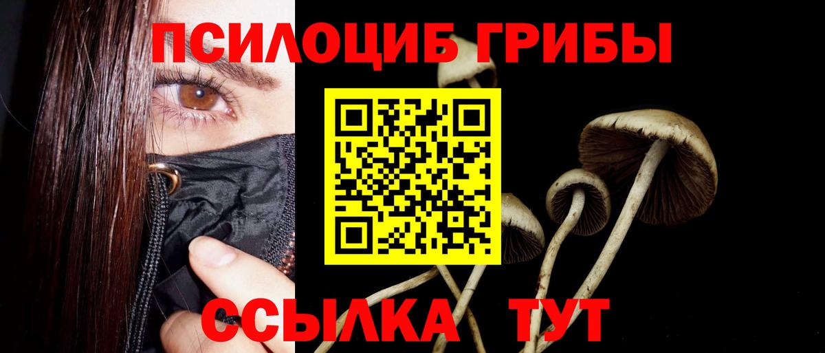 наркота  Галлюциногенные грибы GOLDEN TEACHER  Вход с VPN  Вязники 